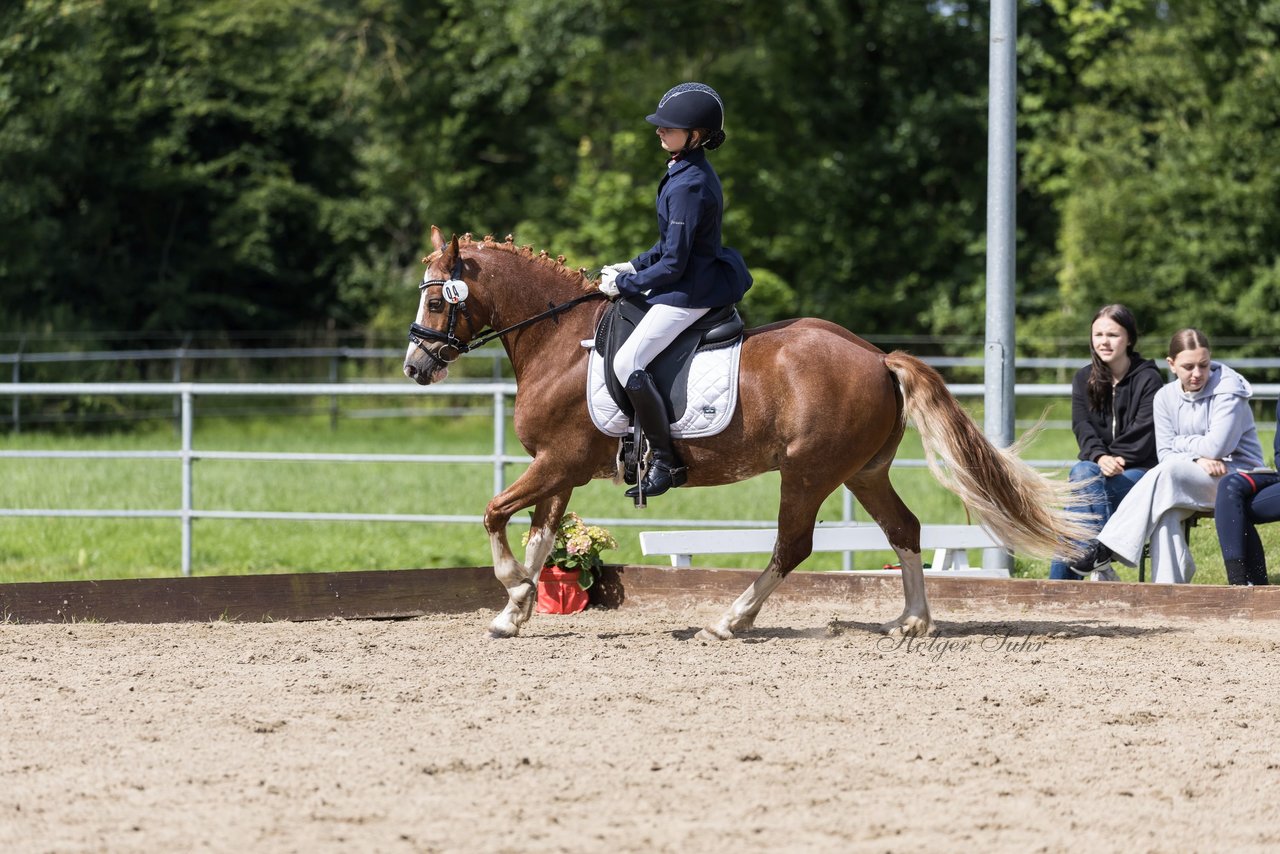 Bild 618 - Pony Akademie Turnier